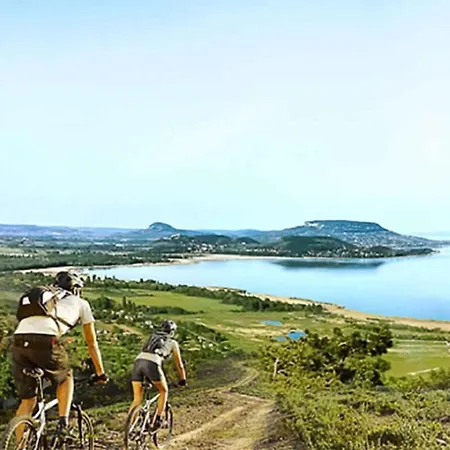 Hébergement de vacances Balatonalmadi/balaton 17971
